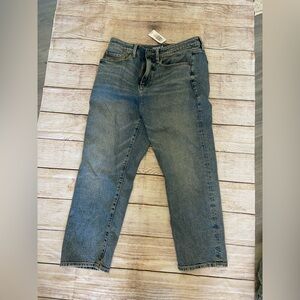 Torrid High-Rise Ankle Crop Classic Denim